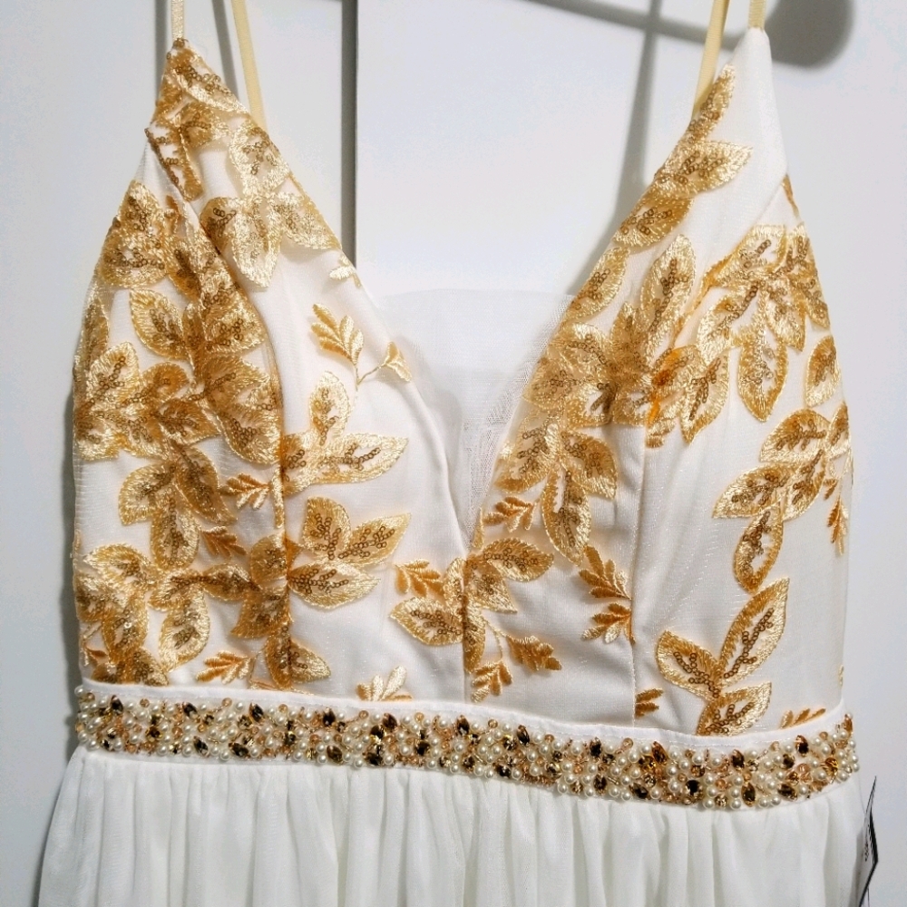 Beautiful gown !